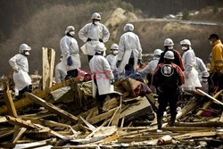 Trzęsienie ziemi i tsunami w Japonii