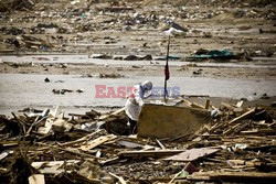 Trzęsienie ziemi i tsunami w Japonii