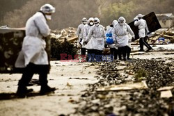 Trzęsienie ziemi i tsunami w Japonii