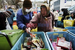 Trzęsienie ziemi i tsunami w Japonii