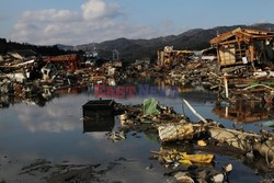 Trzęsienie ziemi i tsunami w Japonii