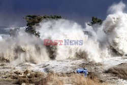 Trzęsienie ziemi i tsunami w Japonii