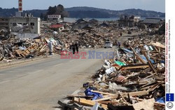 Trzęsienie ziemi i tsunami w Japonii