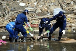 Trzęsienie ziemi i tsunami w Japonii