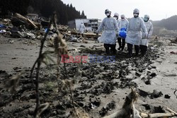 Trzęsienie ziemi i tsunami w Japonii