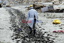 Trzęsienie ziemi i tsunami w Japonii