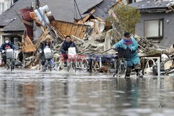 Trzęsienie ziemi i tsunami w Japonii