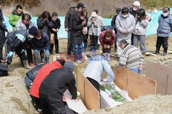 Trzęsienie ziemi i tsunami w Japonii