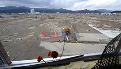 Trzęsienie ziemi i tsunami w Japonii