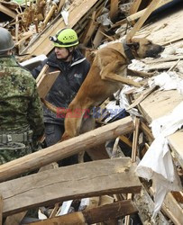 Trzęsienie ziemi i tsunami w Japonii