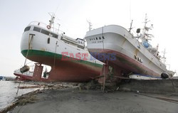 Trzęsienie ziemi i tsunami w Japonii