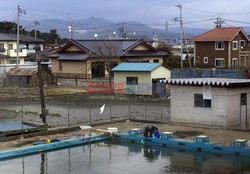 Trzęsienie ziemi i tsunami w Japonii