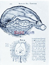 Science Source December 28, 2009 DVD