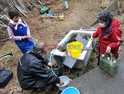 Trzęsienie ziemi i tsunami w Japonii