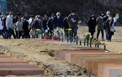 Trzęsienie ziemi i tsunami w Japonii