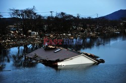 Trzęsienie ziemi i tsunami w Japonii