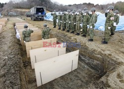 Trzęsienie ziemi i tsunami w Japonii