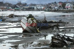 Trzęsienie ziemi i tsunami w Japonii