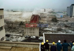 Trzęsienie ziemi i tsunami w Japonii