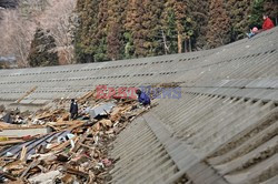 Trzęsienie ziemi i tsunami w Japonii