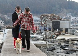 Trzęsienie ziemi i tsunami w Japonii