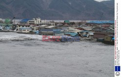 Trzęsienie ziemi i tsunami w Japonii