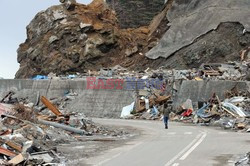 Trzęsienie ziemi i tsunami w Japonii