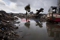 Trzęsienie ziemi i tsunami w Japonii