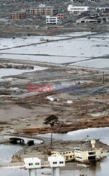 Trzęsienie ziemi i tsunami w Japonii