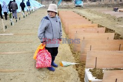 Trzęsienie ziemi i tsunami w Japonii