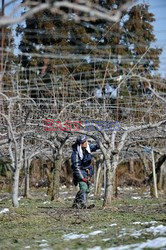 Trzęsienie ziemi i tsunami w Japonii