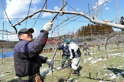 Trzęsienie ziemi i tsunami w Japonii