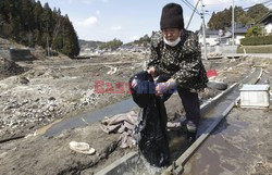 Trzęsienie ziemi i tsunami w Japonii