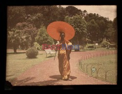 Victoria and Albert Museum - Royal Photographic Society