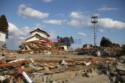 Trzęsienie ziemi i tsunami w Japonii