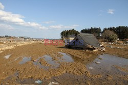 Trzęsienie ziemi i tsunami w Japonii