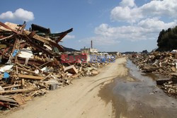 Trzęsienie ziemi i tsunami w Japonii