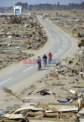 Trzęsienie ziemi i tsunami w Japonii