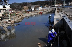 Trzęsienie ziemi i tsunami w Japonii