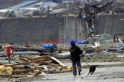 Trzęsienie ziemi i tsunami w Japonii