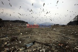 Trzęsienie ziemi i tsunami w Japonii