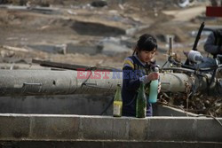 Trzęsienie ziemi i tsunami w Japonii