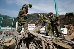 Trzęsienie ziemi i tsunami w Japonii