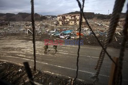 Trzęsienie ziemi i tsunami w Japonii