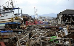 Trzęsienie ziemi i tsunami w Japonii