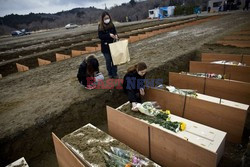 Trzęsienie ziemi i tsunami w Japonii