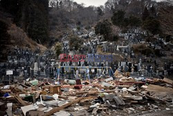 Trzęsienie ziemi i tsunami w Japonii