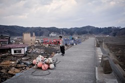 Trzęsienie ziemi i tsunami w Japonii