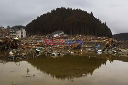 Trzęsienie ziemi i tsunami w Japonii