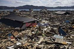 Trzęsienie ziemi i tsunami w Japonii